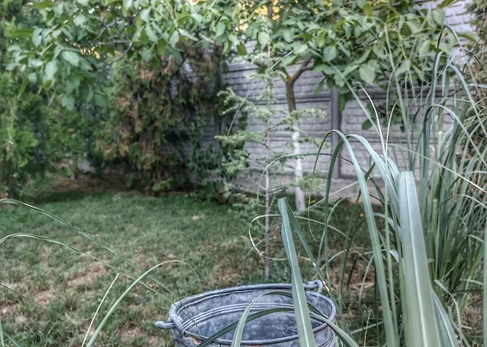 боровата къща Pensionat