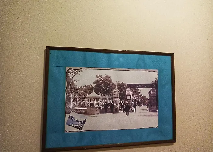 Pensionat боровата къща *