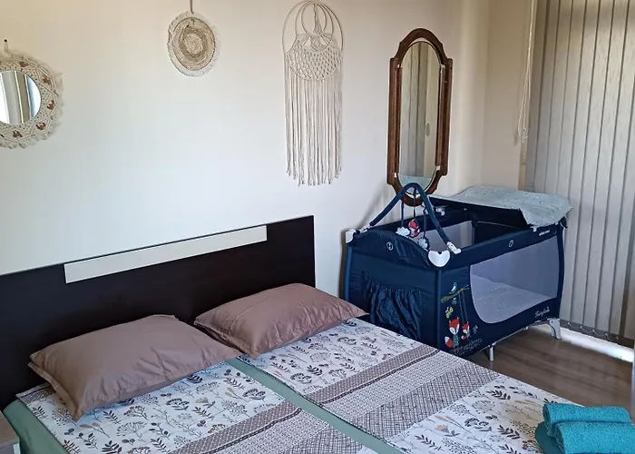 боровата къща Varna