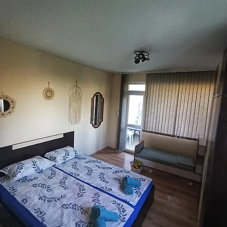 боровата къща بيت ضيافة *