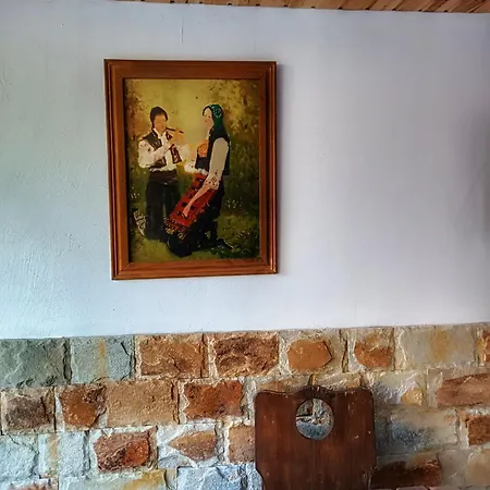 боровата къща ゲストハウス