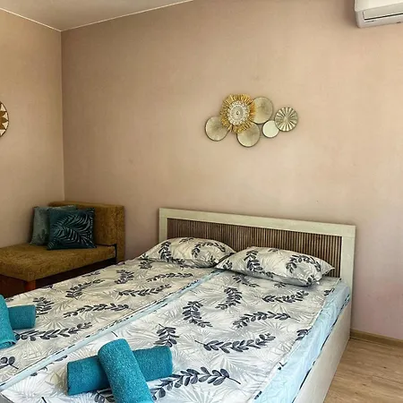 بيت ضيافة боровата къща