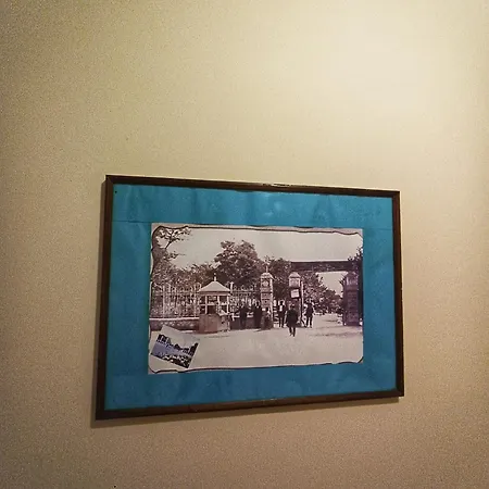 بيت ضيافة боровата къща *