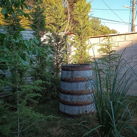 боровата къща بيت ضيافة