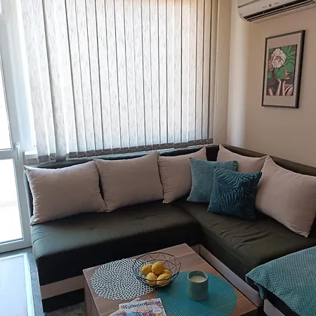 بيت ضيافة боровата къща *