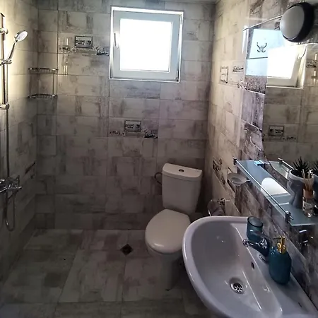 боровата къща *