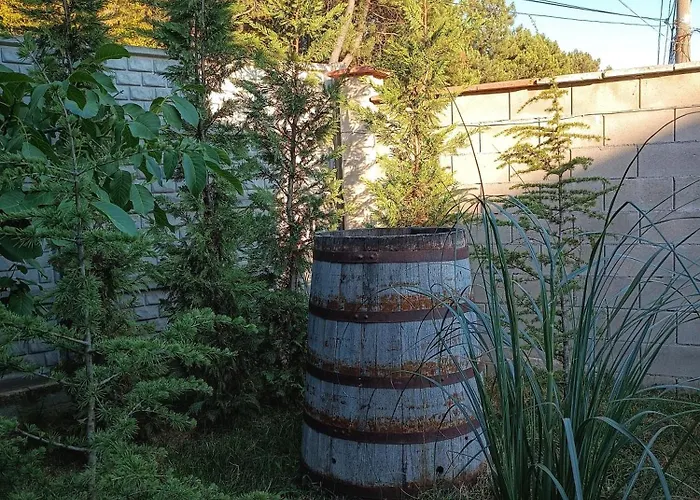 боровата къща بيت ضيافة